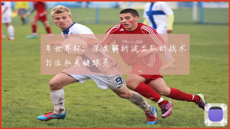 年世界杯：深度解析波兰队的战术打法和关键球员